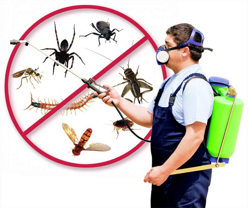 Beekeeping and Hive Management Services